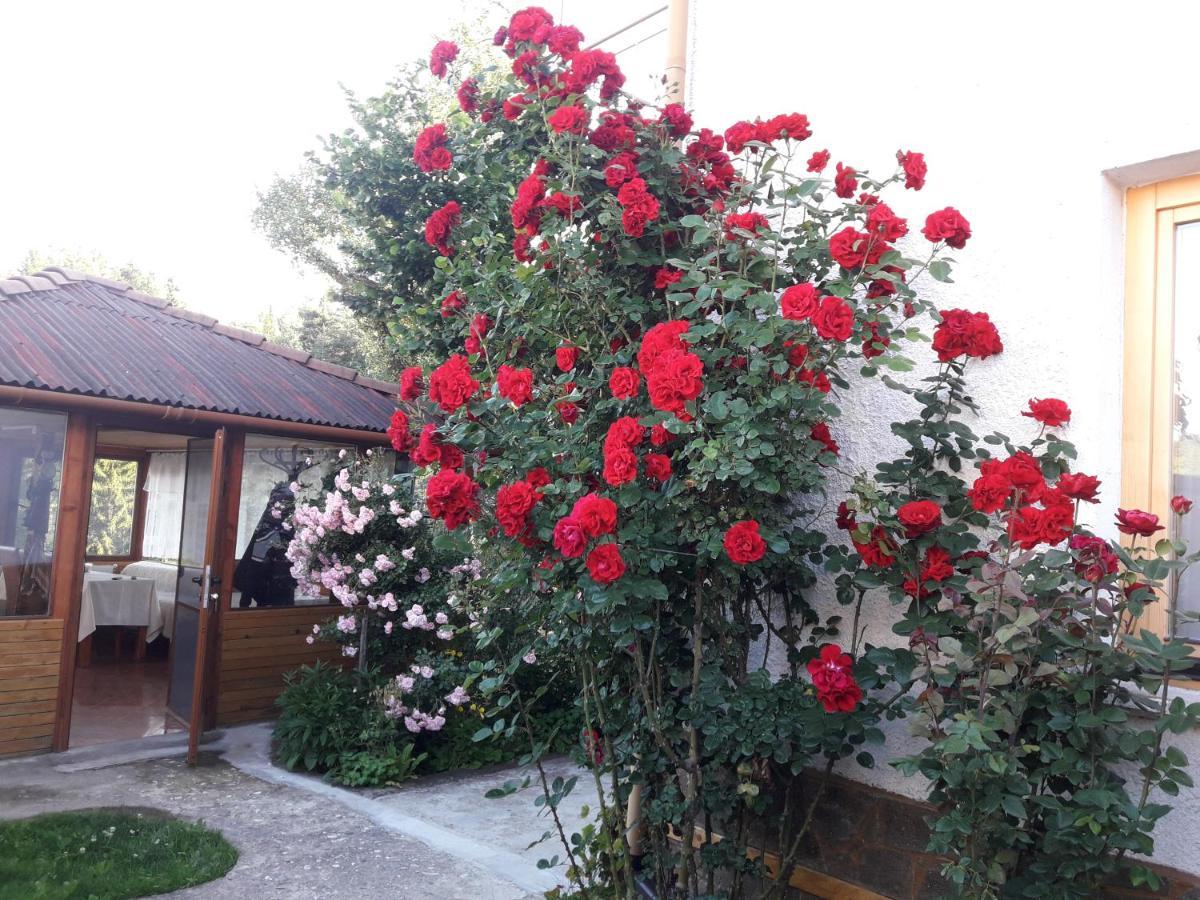 Guest House Stoletnika Yagodina Exterior foto